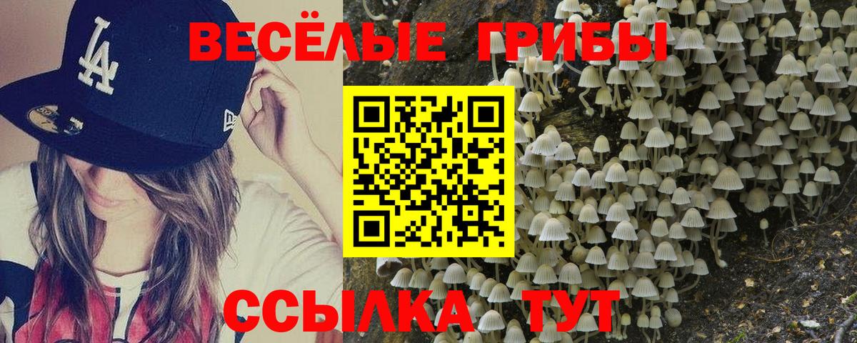 Галлюциногенные грибы GOLDEN TEACHER  Галлюциногенные грибы ЛСД  Бахчисарай  Вход с VPN 